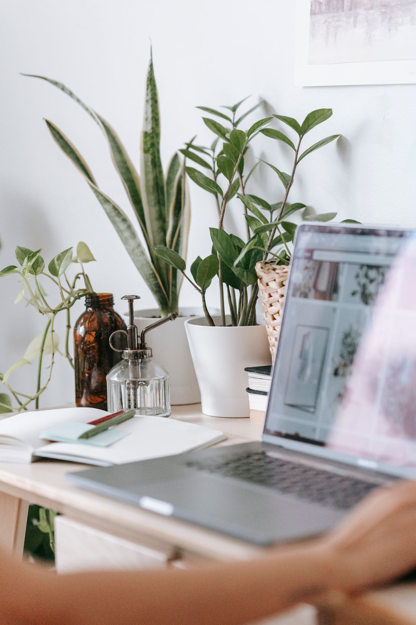 Sunlit workspace with a laptop, notebook and green plants